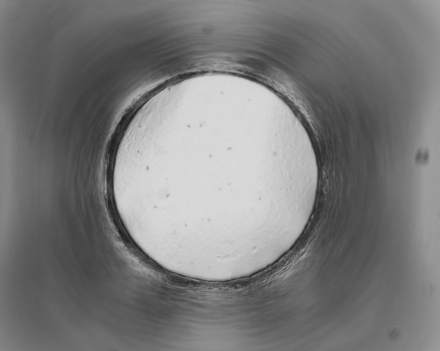 X0000096420987200802211120