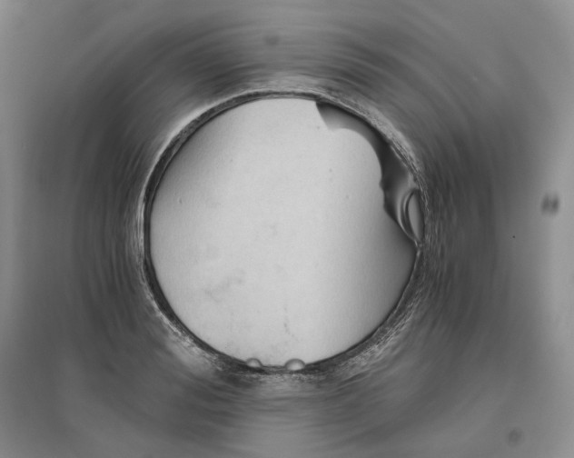 X0000096420988200802211120