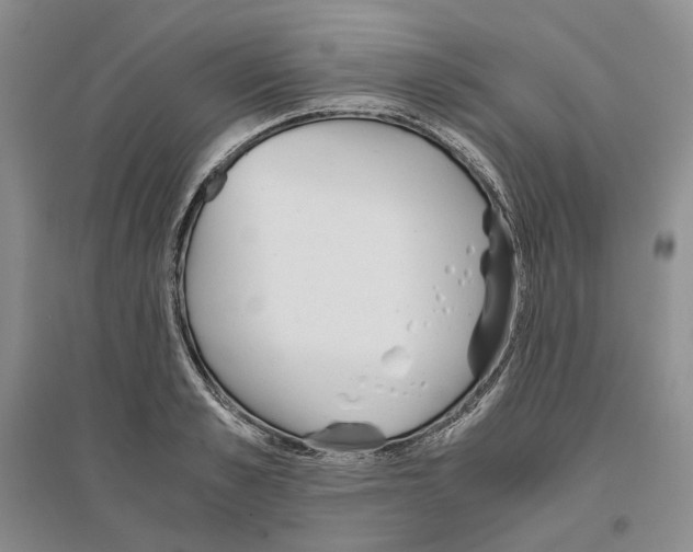 X0000096420989200802211120