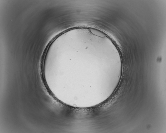 X0000096420991200802211120