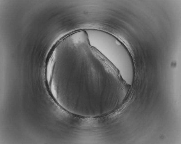 X0000096420992200802211120