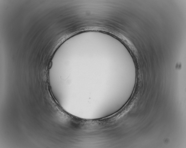 X0000096420993200802211120