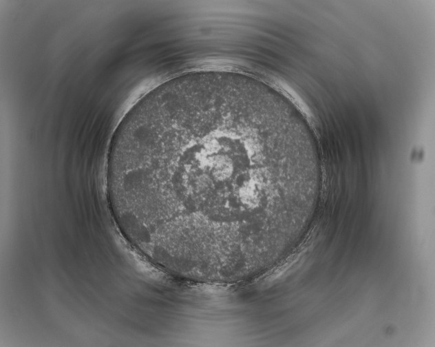 X0000096420994200802211120