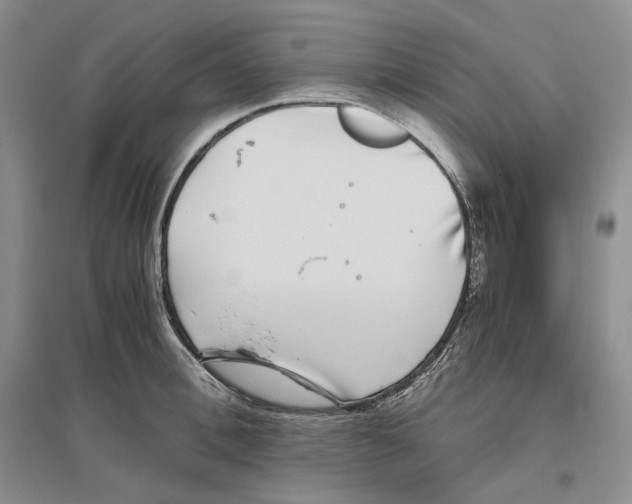 X0000096420996200802211120