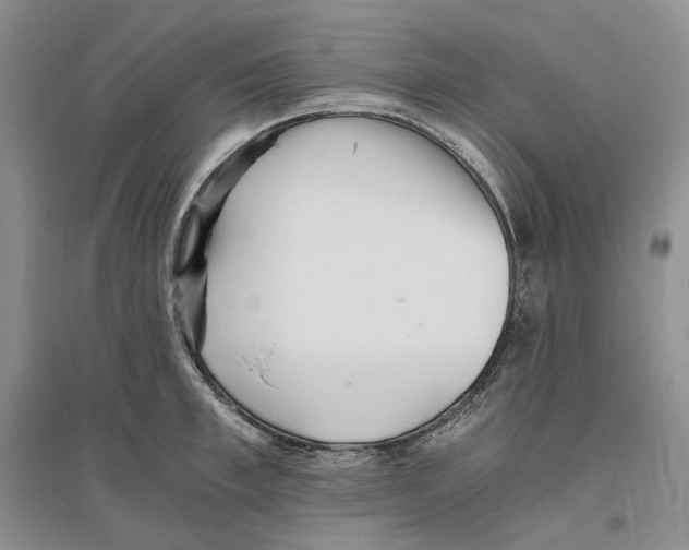 X0000096420997200802211120