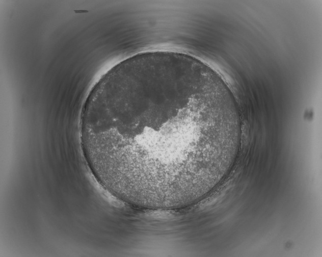 X0000096420998200802211120