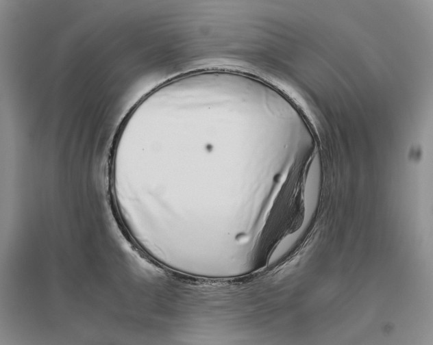 X0000096420999200802211120