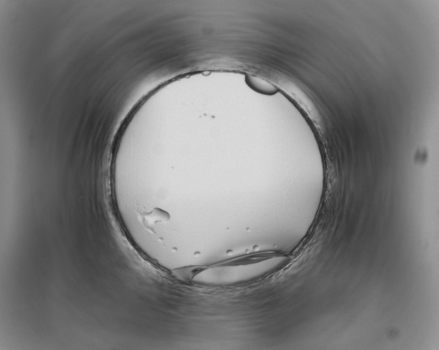 X0000096421000200802211119