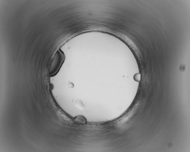 X0000096421001200802211119