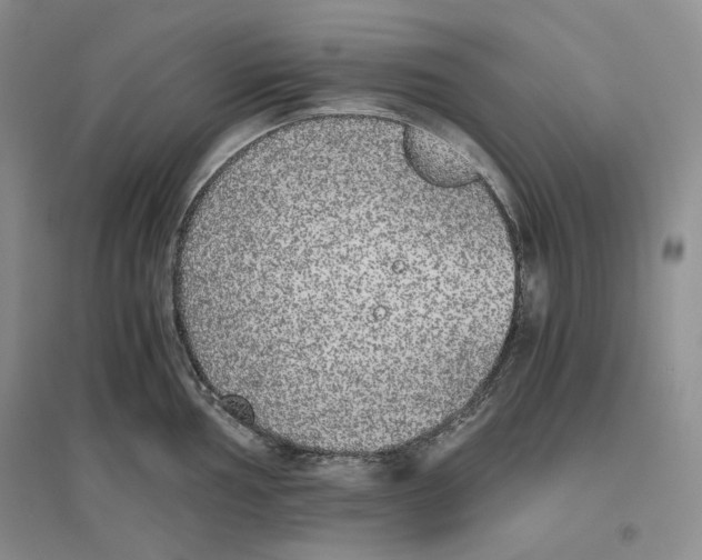 X0000096421002200802211119