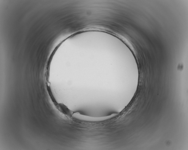 X0000096421003200802211119