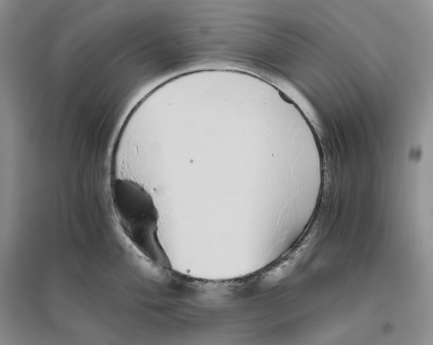 X0000096421004200802211119