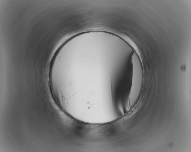 X0000096421005200802211119