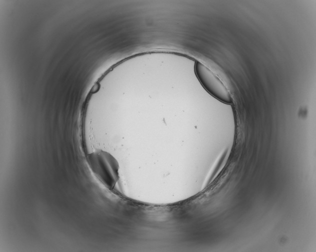 X0000096421006200802211119