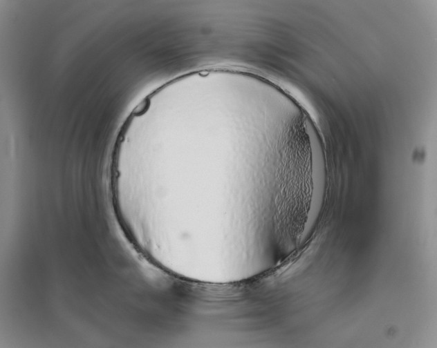 X0000096421007200802211119