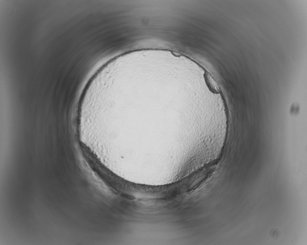 X0000096421008200802211119