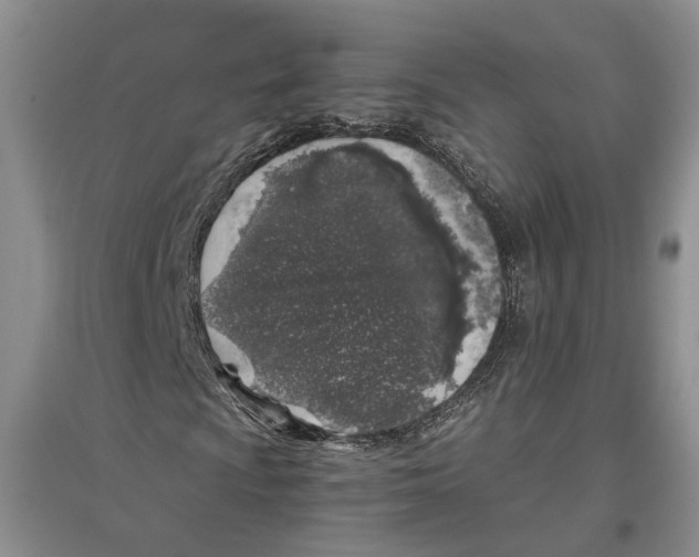 X0000096421009200802211119