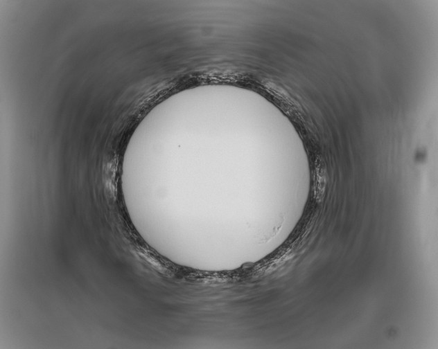 X0000096421010200802211119