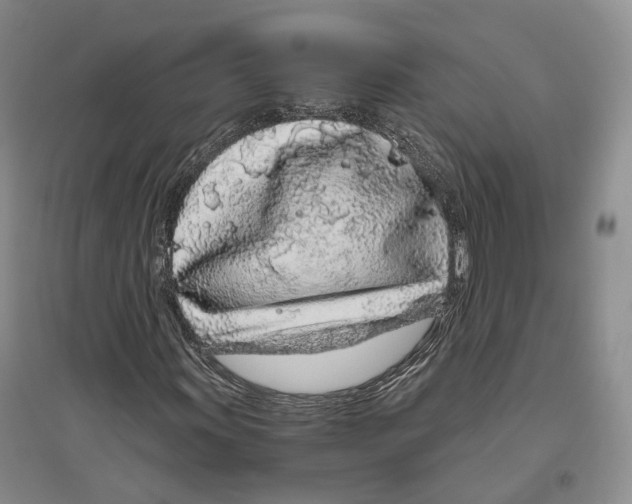 X0000096421011200802211119