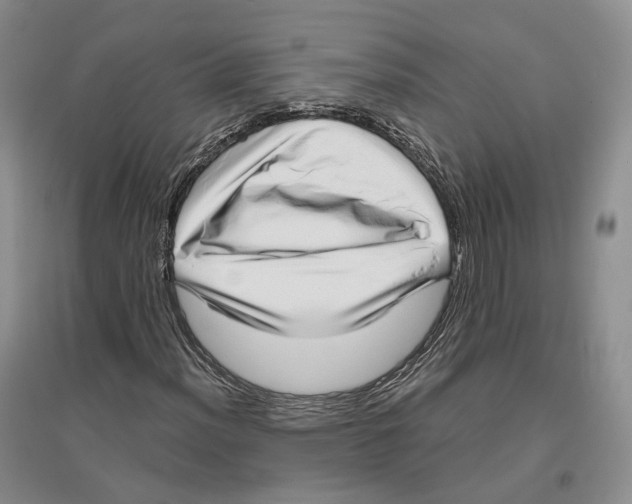 X0000096421012200802211119
