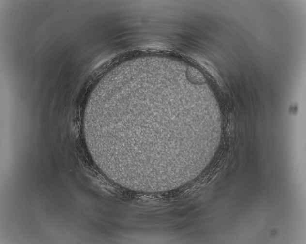 X0000096421015200802211119