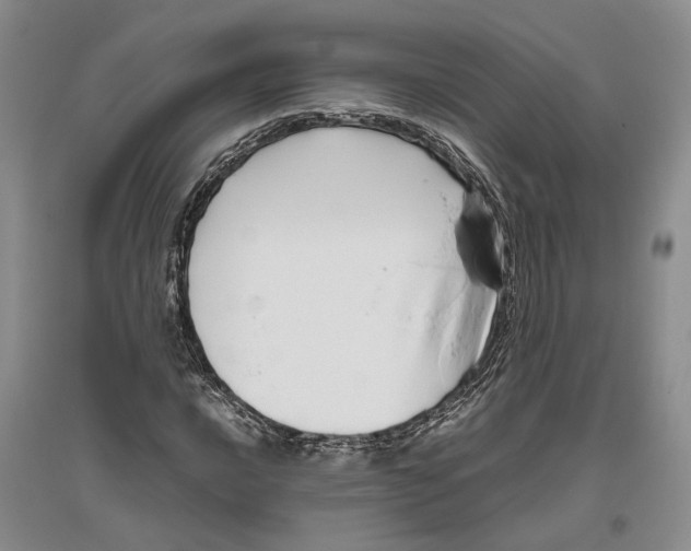 X0000096421016200802211119