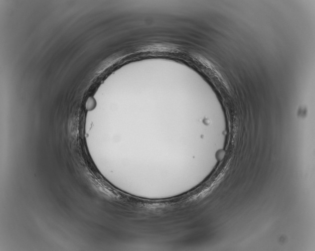 X0000096421017200802211119
