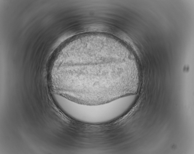 X0000096421019200802211119