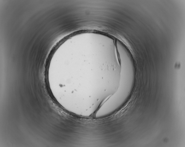 X0000096421020200802211119