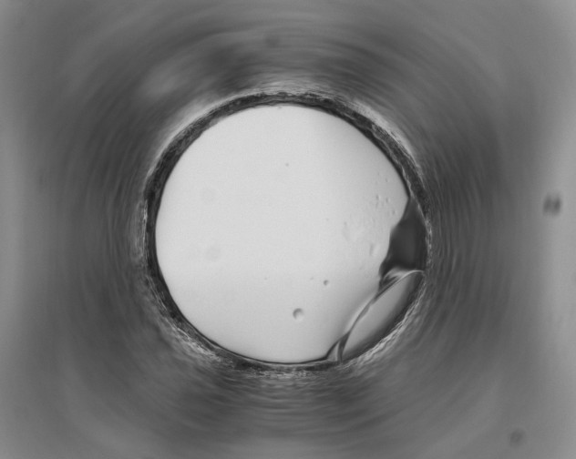 X0000096421021200802211119