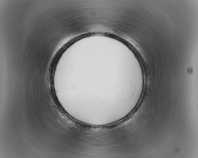 X0000096421022200802211119