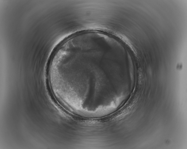 X0000096421024200802211119