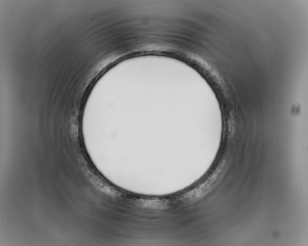 X0000096421025200802211119