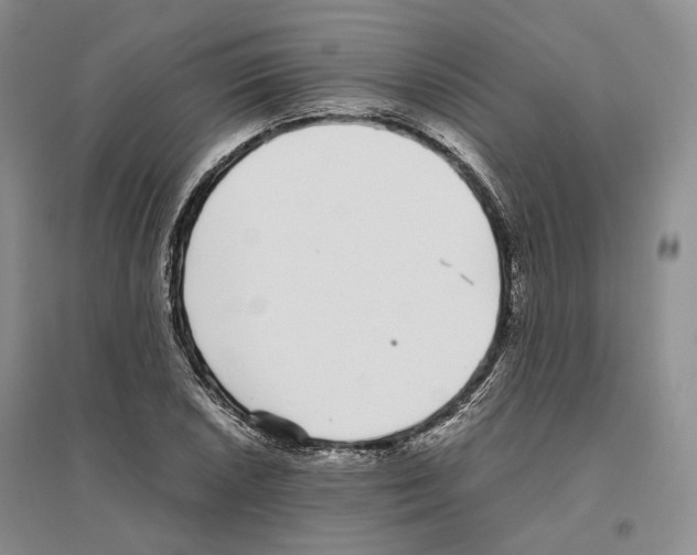 X0000096421026200802211119