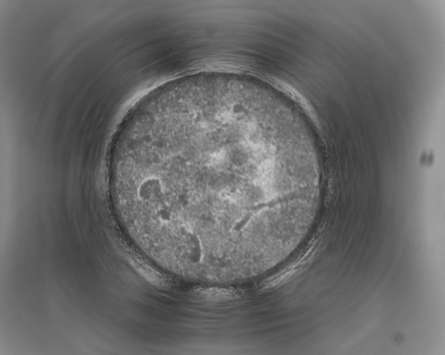 X0000096421027200802211119