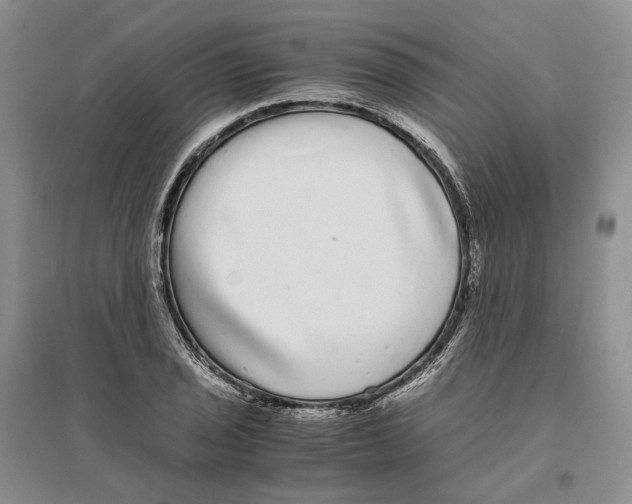 X0000096421029200802211119