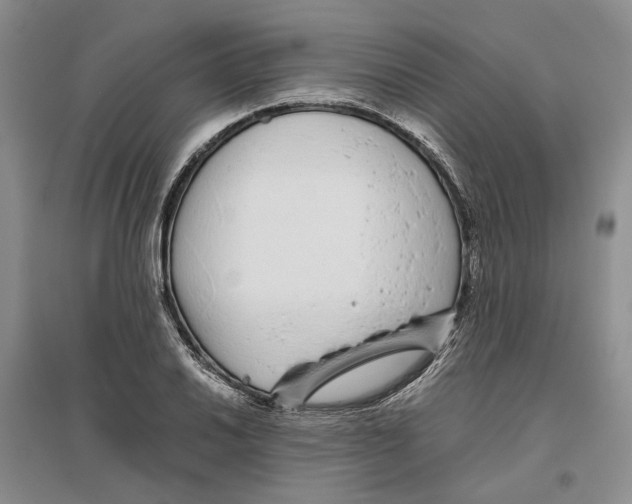 X0000096421030200802211119