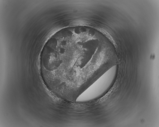 X0000096421031200802211119