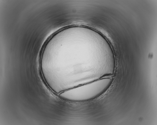 X0000096421032200802211119