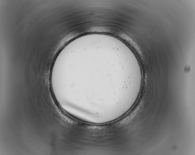 X0000096421033200802211119