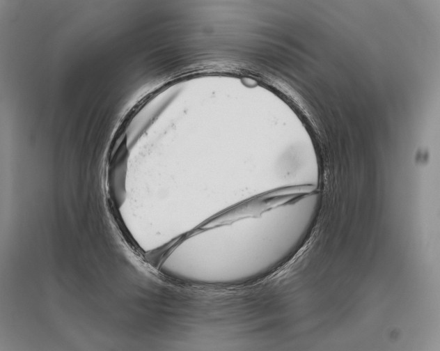 X0000096421034200802211119
