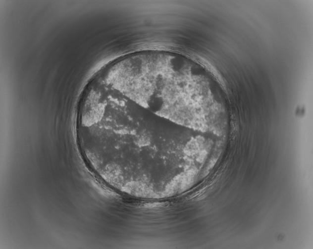 X0000096421035200802211119