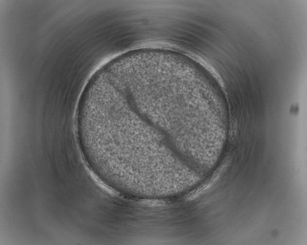 X0000096421037200802211119