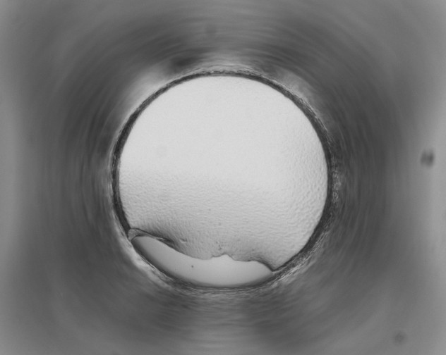 X0000096421038200802211119