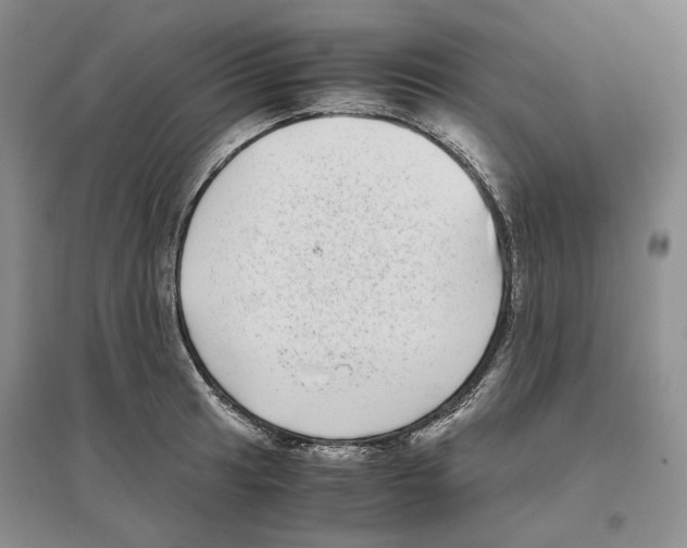 X0000096421041200802211119