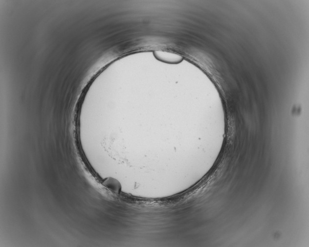 X0000096421042200802211119