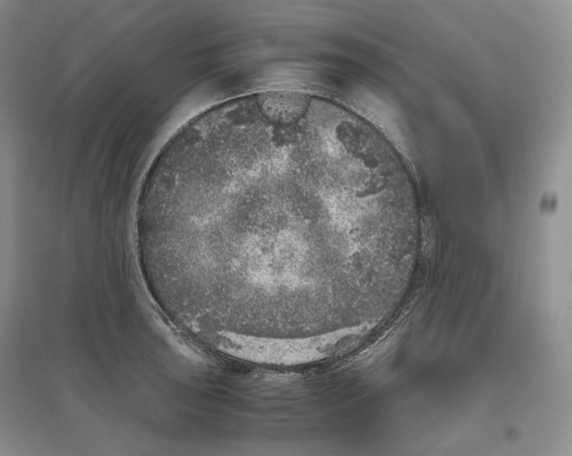 X0000096421043200802211119
