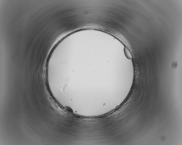 X0000096421044200802211119