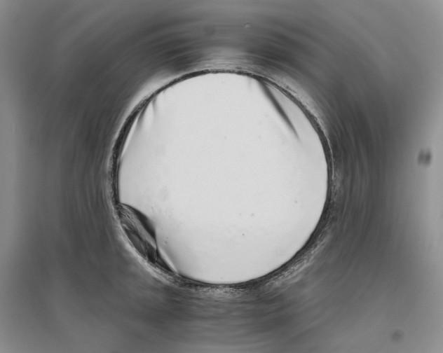 X0000096421045200802211119