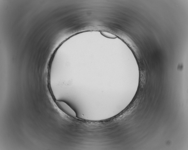 X0000096421046200802211119